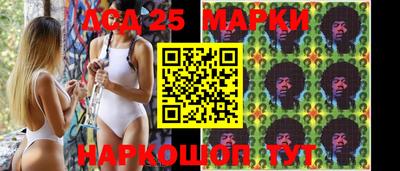 стафф Можга
