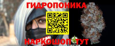стафф Можга