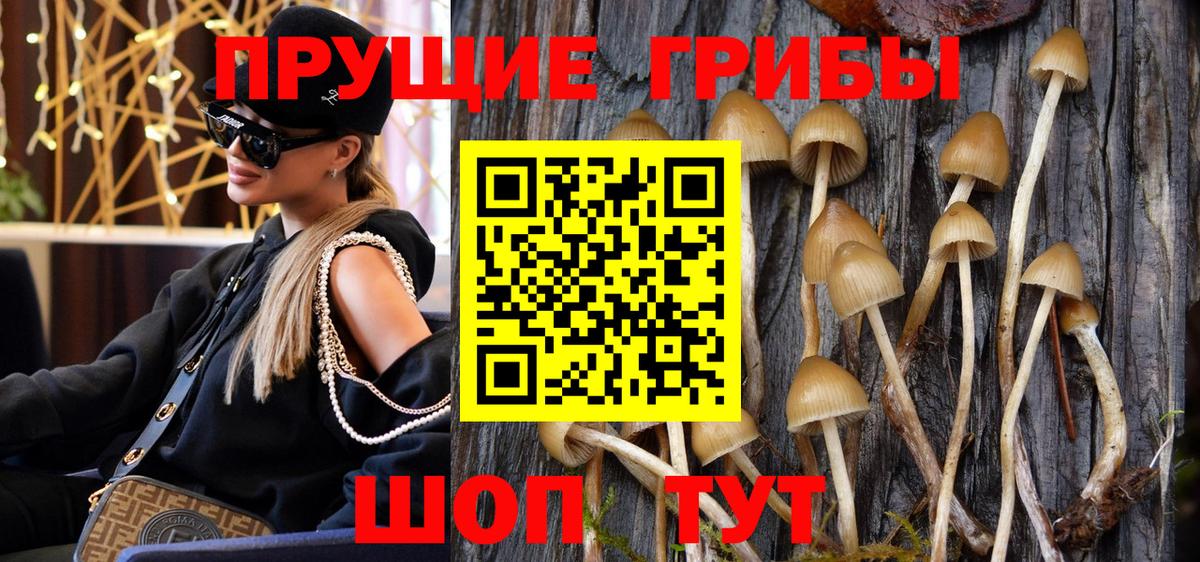 Галлюциногенные грибы Psilocybine cubensis  Вход с VPN  Удомля 