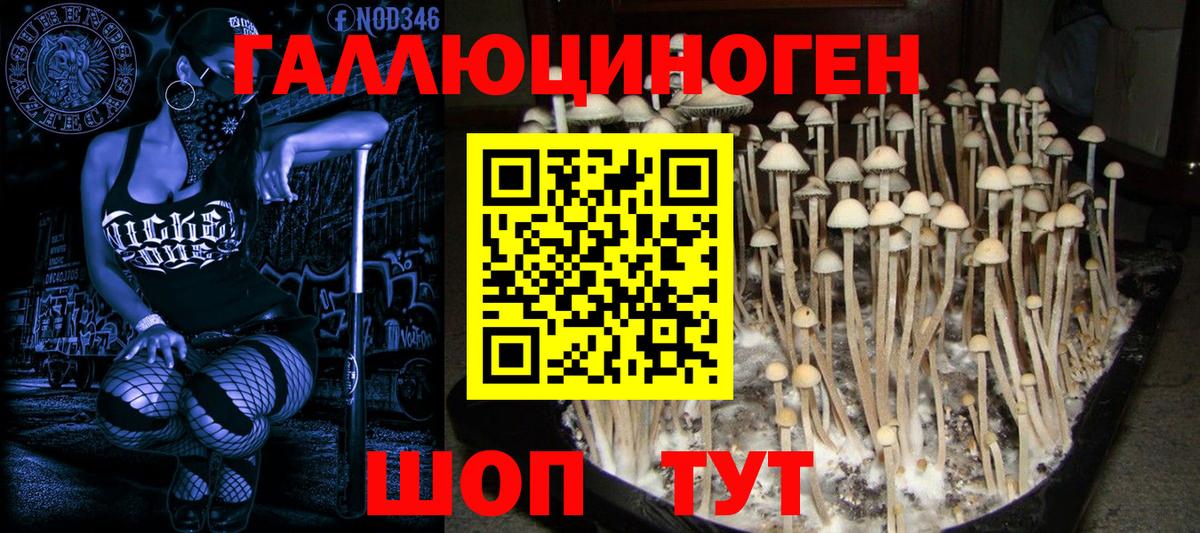 Галлюциногенные грибы прущие грибы Удомля