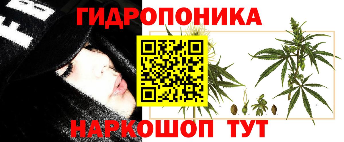 Конопля Amnesia Удомля